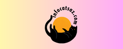 infocatsaz.com